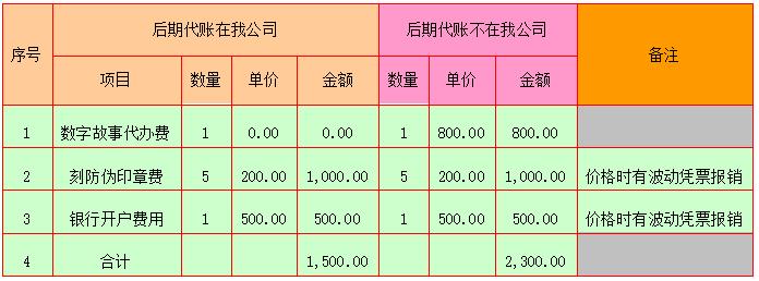 代设公司(图3)